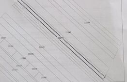 Teren extravilan 2900mp Sieu Magherus