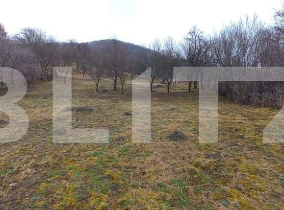 Teren de vânzare Exterior Nord - 148134TV | BLITZ Bistriţa | Poza1