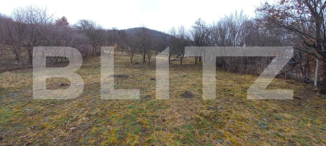 Teren de vânzare Exterior Nord - 148134TV | BLITZ Bistriţa | Poza1