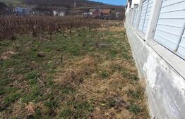 Teren intravilan de vanzare 1000mp, intre pasarela si Viisoara