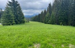 Teren 7000, Piatra Fantanele - Castel Dracula