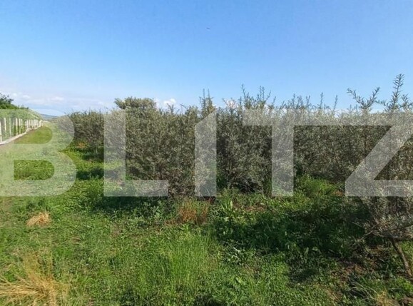 Teren de vânzare Exterior Vest - 148143TV | BLITZ Bistriţa | Poza3