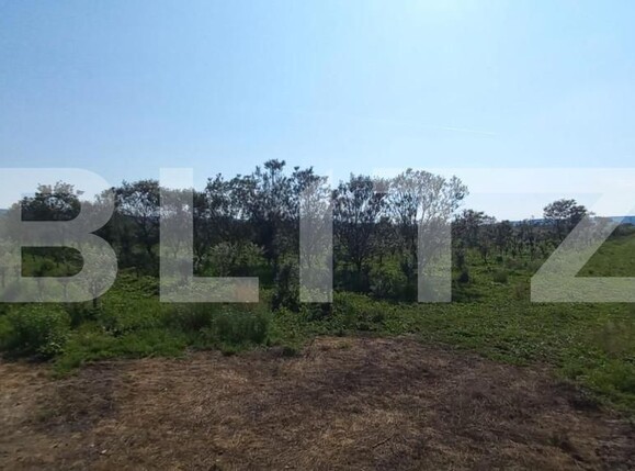 Teren de vânzare Exterior Vest - 148143TV | BLITZ Bistriţa | Poza5