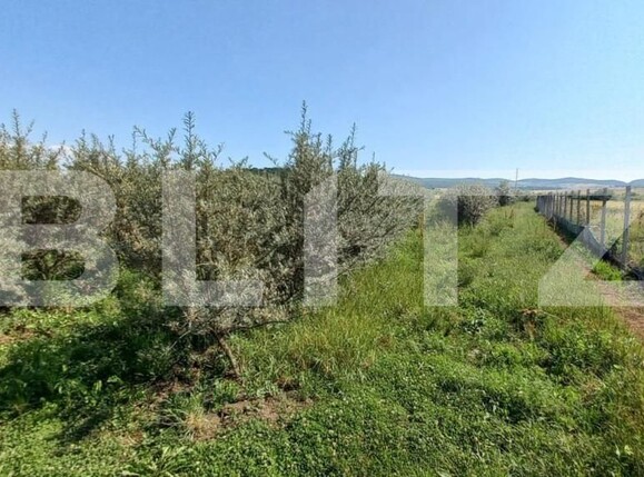 Teren de vânzare Exterior Vest - 148143TV | BLITZ Bistriţa | Poza2