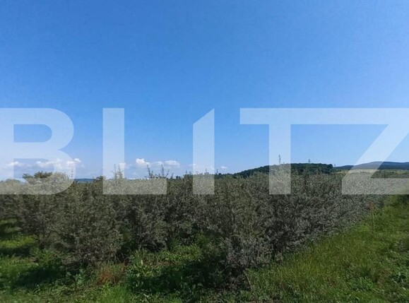 Teren de vânzare Exterior Vest - 148143TV | BLITZ Bistriţa | Poza1