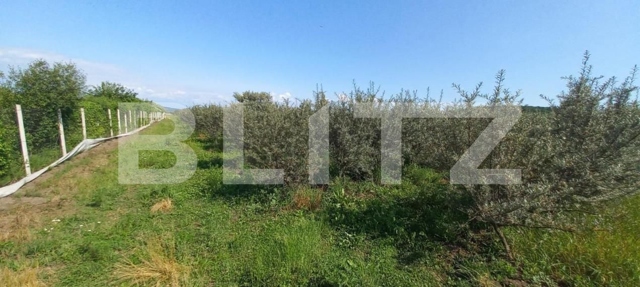 Teren de vânzare Exterior Vest - 148143TV | BLITZ Bistriţa | Poza3