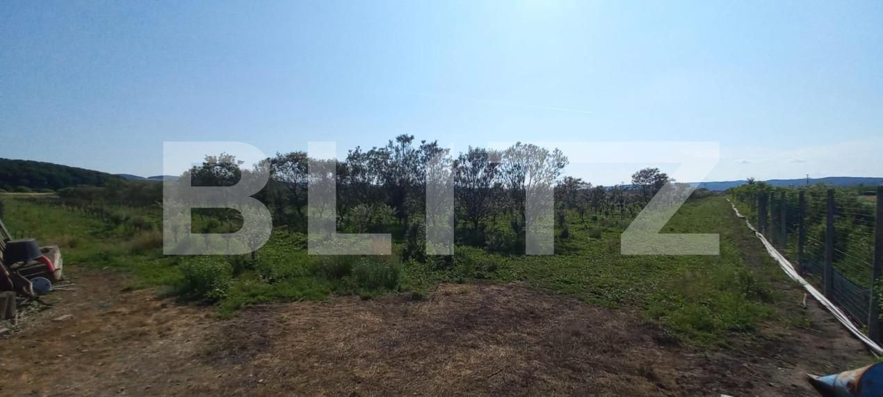 Teren de vânzare Exterior Vest - 148143TV | BLITZ Bistriţa | Poza5