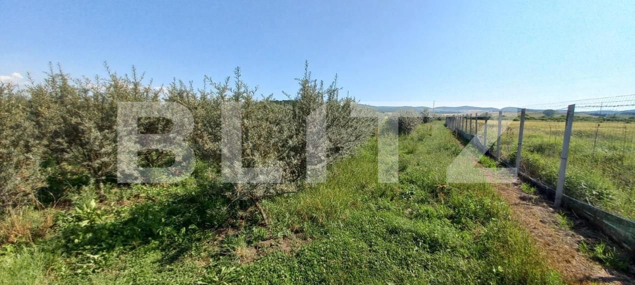 Teren de vânzare Exterior Vest - 148143TV | BLITZ Bistriţa | Poza2