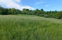 Teren intravilan, 9100mp, zona Crainimat