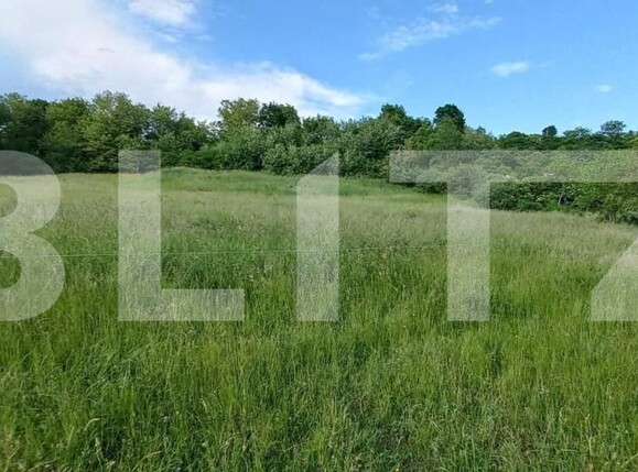 Teren de vânzare Exterior Sud - 148144TV | BLITZ Bistriţa | Poza1