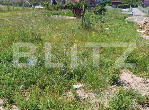 Teren de vânzare Exterior Sud - 148145TV | BLITZ Bistriţa | Poza1