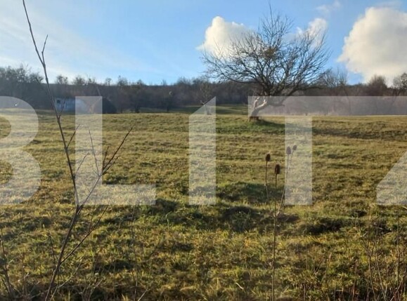 Teren de vânzare Exterior Est - 148146TV | BLITZ Bistriţa | Poza1