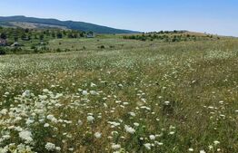 Teren extravilan 7100mp,zona Astrelor