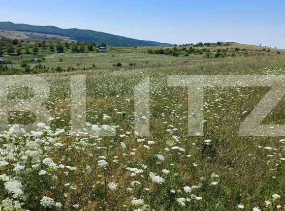 Teren de vânzare Exterior Vest - 148147TV | BLITZ Bistriţa | Poza1