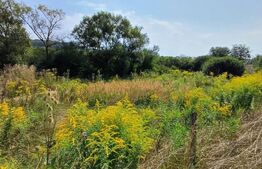 Teren intravilan 967mp, zona Astrelor