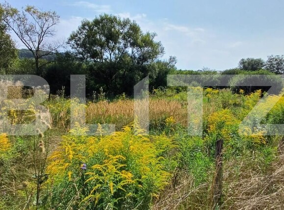 Teren de vânzare Exterior Vest - 148148TV | BLITZ Bistriţa | Poza1