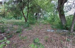 Teren intravilan 851mp, Bistrita , zona centrala