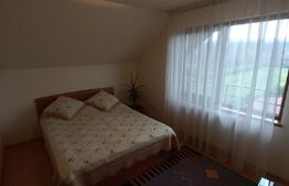 Vila 311 mp, teren 2200mp, mobilata, D+P+M, Viisoara