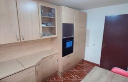 Vila 311 mp, teren 2200mp, mobilata, D+P+M, Viisoara