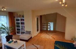 Vila 311 mp, teren 2200mp, mobilata, D+P+M, Viisoara