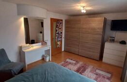 Vila 311 mp, teren 2200mp, mobilata, D+P+M, Viisoara