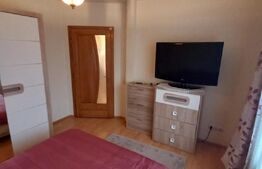 Vila 311 mp, teren 2200mp, mobilata, D+P+M, Viisoara