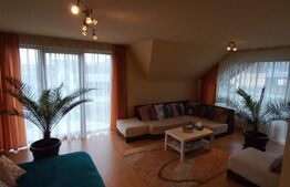 Vila 311 mp, teren 2200mp, mobilata, D+P+M, Viisoara