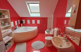 Vila 311 mp, teren 2200mp, mobilata, D+P+M, Viisoara