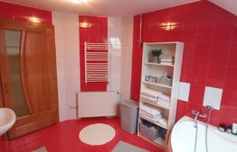 Vila 311 mp, teren 2200mp, mobilata, D+P+M, Viisoara