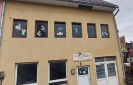 Posibilitate de Gradinita!!! Casa in Centrul Bistritei ,360mp,P+1+M