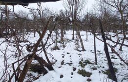 Casa la 20 km de Bistrita , teren 1800mp