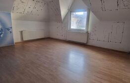 Spatii de inchirat in zona Zero