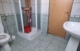 Spatii de inchirat in zona Zero