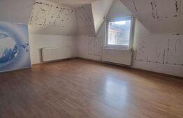 Spatii de inchirat in zona Zero