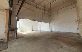 Hala de 160 mp de inchiriat in Bistrita