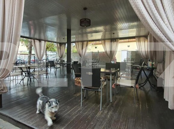 Spațiu comercial de închiriat Central - 148394SIC | BLITZ Bistriţa | Poza2