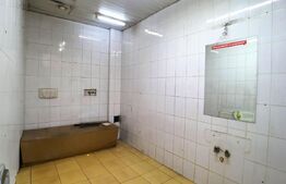 Spatiu comercial, 450 mp, Central