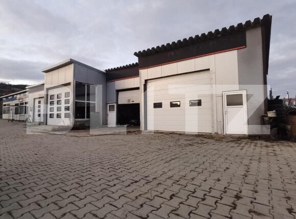 Spațiu comercial de închiriat Viișoara - 148399SIC | BLITZ Bistriţa | Poza2
