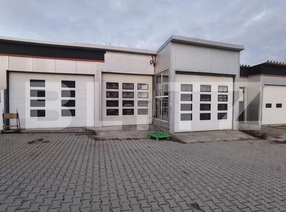 Spațiu comercial de închiriat Viișoara - 148399SIC | BLITZ Bistriţa | Poza1