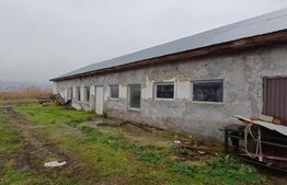 Hala de vanzare in Orheiu Bistritei