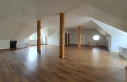 Spatiu comercial, 100 mp utili, Prundul Bargaului