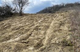 Teren intravilan 1.525 mp – Valea Jelnei, aproape de Bistrita, negociabil