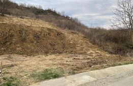 Teren intravilan 1.525 mp – Valea Jelnei, aproape de Bistrita, negociabil