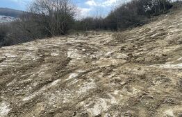 Teren intravilan 1.525 mp – Valea Jelnei, aproape de Bistrita, negociabil