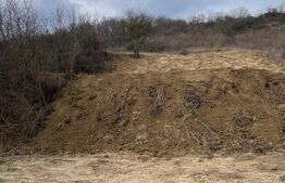 Teren intravilan 1.525 mp – Valea Jelnei, aproape de Bistrita, negociabil