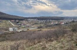 Teren intravilan 1.525 mp – Valea Jelnei, aproape de Bistrita, negociabil