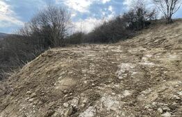 Teren intravilan 1.525 mp – Valea Jelnei, aproape de Bistrita, negociabil