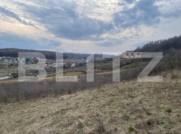 Teren de vânzare Exterior Est - 148416TV | BLITZ Bistriţa | Poza7