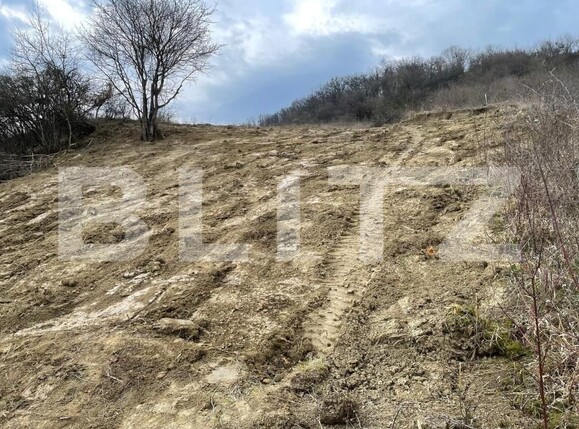 Teren de vânzare Exterior Est - 148416TV | BLITZ Bistriţa | Poza3