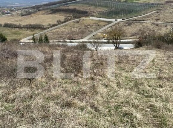 Teren de vânzare Exterior Est - 148416TV | BLITZ Bistriţa | Poza11
